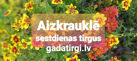 aizkraukles gadatirgi.